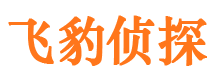 城步市私家侦探